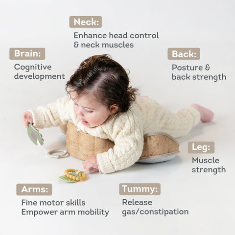 Taf Toys Bear Tummy Time Pillow