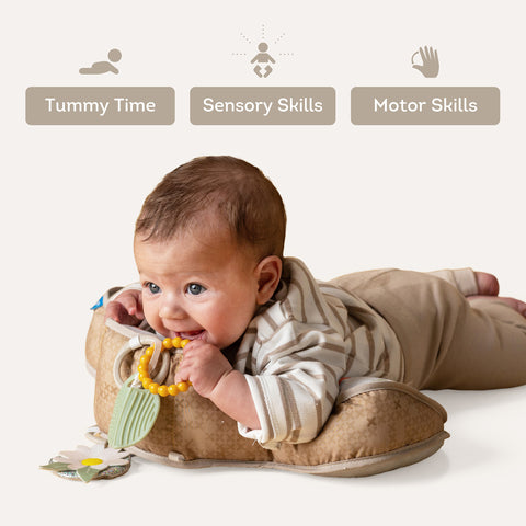 Taf Toys Bear Tummy Time Pillow