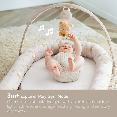 Taf Toys Little Explorer Lounger - Due Q4