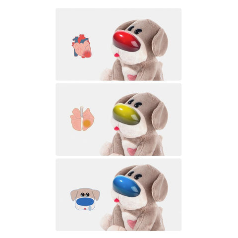 TOPBRIGHT Care Pets - Dr. Dog