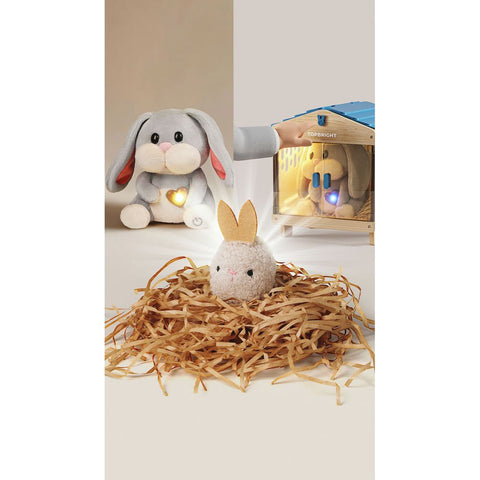 TOPBRIGHT Care Pets - Mummy Bunny