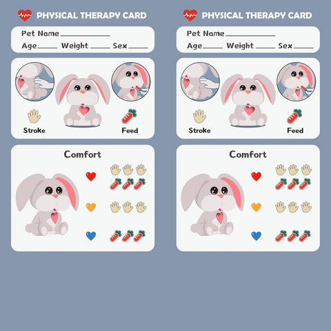 TOPBRIGHT Care Pets - Mummy Bunny