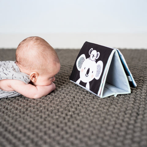 Taf Toys Kimmy Koala Tummy Time Book