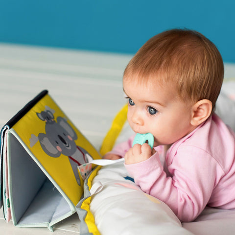 Taf Toys Kimmy Koala Tummy Time Book