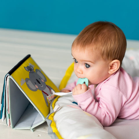 Taf Toys Kimmy Koala Tummy Time Book