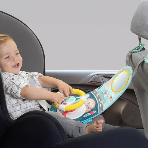 Taf Toys Koala Car Wheel Toy