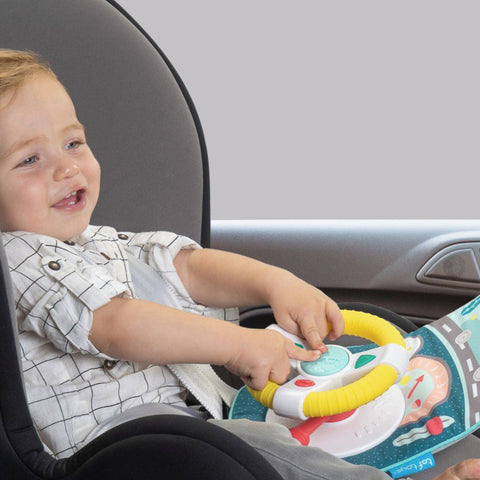 Taf Toys Koala Car Wheel Toy