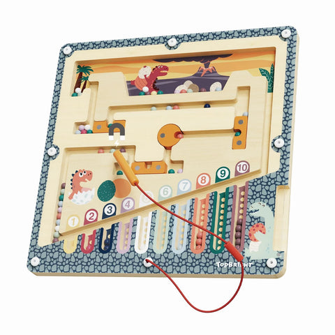 TOPBRIGHT Magnet Maze - Assortment - Packed In CDU