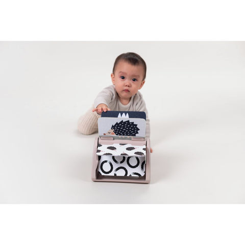 Taf Toys Urban Garden Black & White Spinning Book