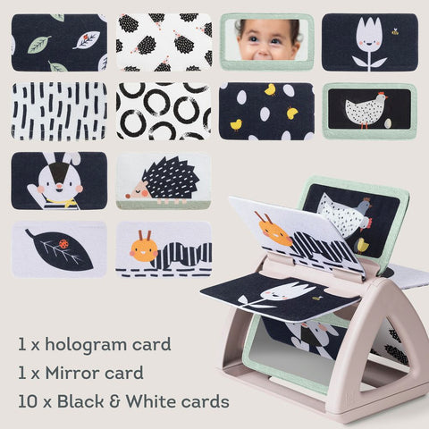 Taf Toys Urban Garden Black & White Spinning Book