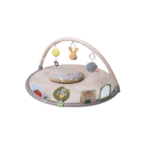 Taf Toys Tummy-time Activity Gym