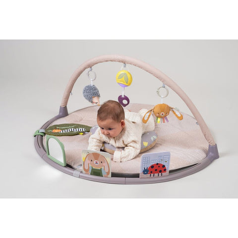 Taf Toys Tummy-time Activity Gym