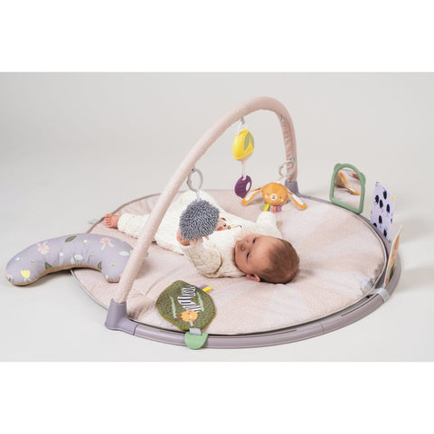 Taf Toys Tummy-time Activity Gym