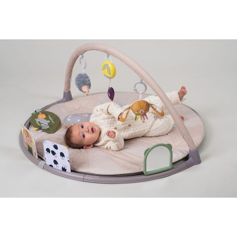 Taf Toys Tummy-time Activity Gym