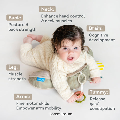 Taf Toys Panda Tummy Time Pillow