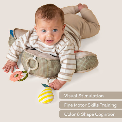 Taf Toys Panda Tummy Time Pillow