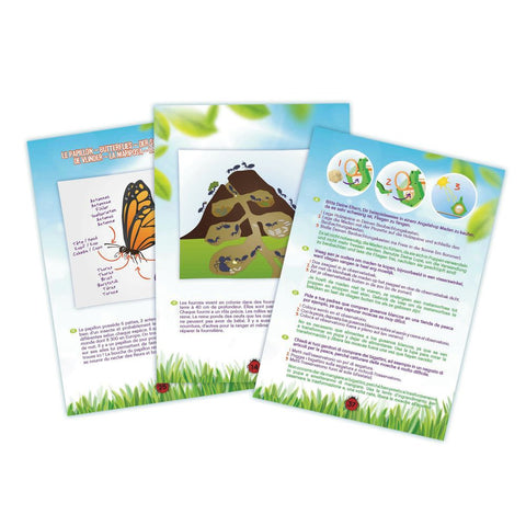 Buki France Insect Explorer Kit