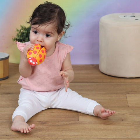Halilit Animal Shaker Set
