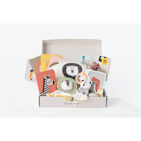 Taf Toys Newborn Kit Gift Set