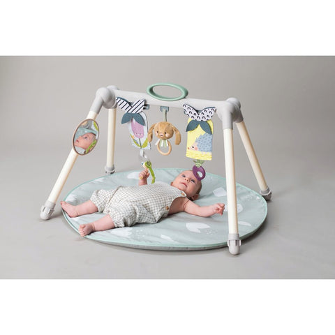 Taf Toys Urban Garden Foldable Baby Gym