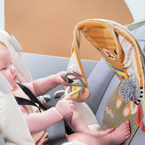 Taf Toys Bunny Play and Kick Car Toy