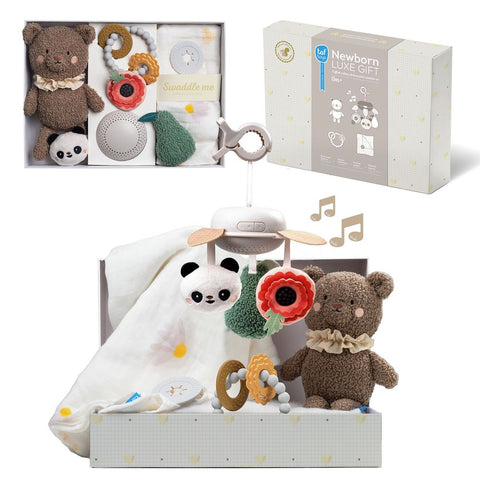 Taf Toys Luxury Newborn Gift set