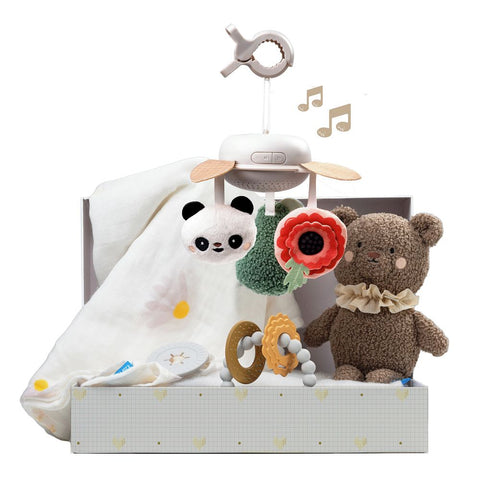 Taf Toys Luxury Newborn Gift set