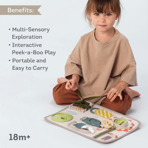 Taf Toys Snap n Learn Board