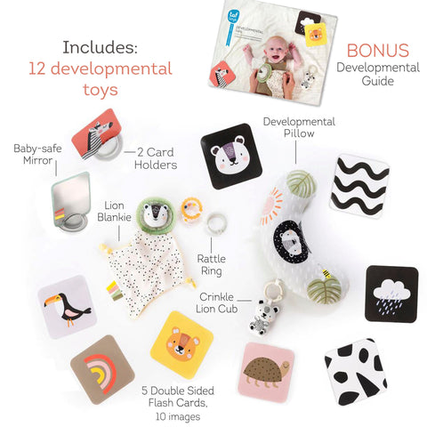 Taf Toys Newborn Kit Gift Set