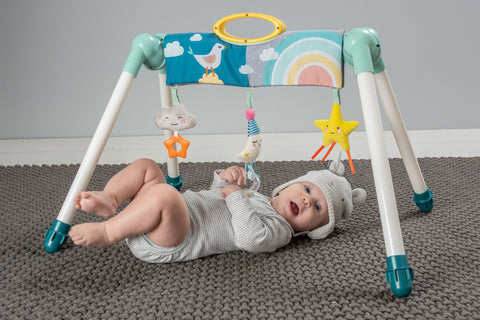 Taf Toys Mini Moon Take to Play Gym