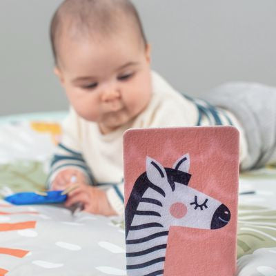 Taf Toys My First Tummy-Time Cards