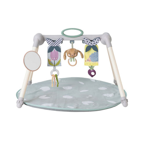 Taf Toys Urban Garden Foldable Baby Gym